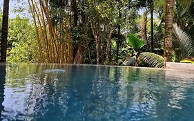 A Peace In Paradise