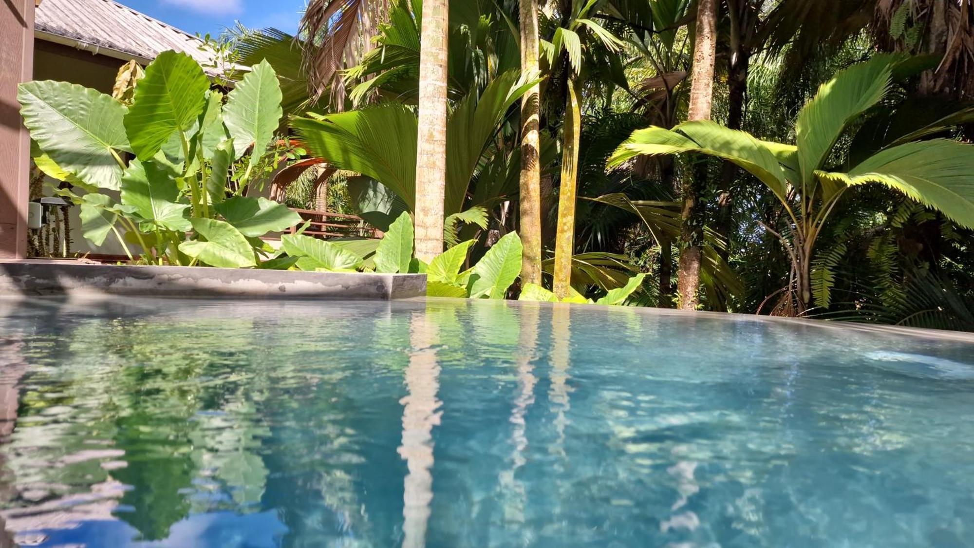 A Peace In Paradise Anse Royale Exterior photo